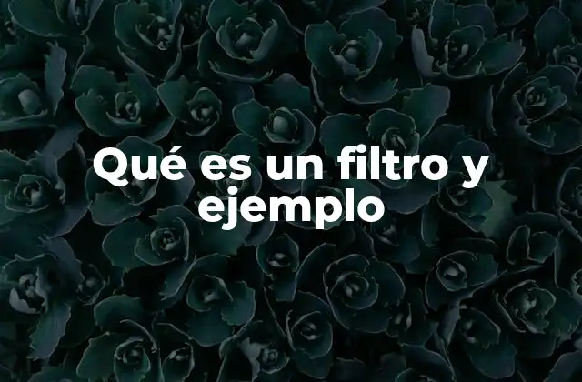 Aplicaciones de los filtros en diferentes áreas