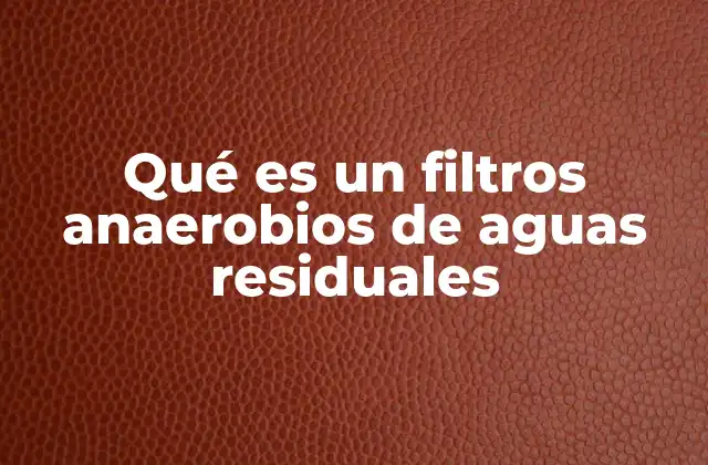 Funcionamiento y características de los filtros anaeróbicos