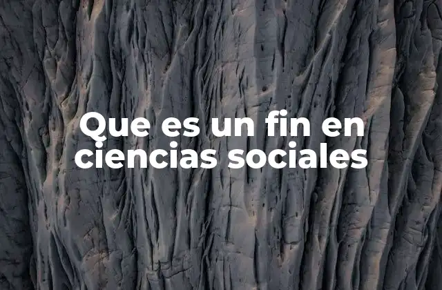 Que es un Fin en Ciencias Sociales