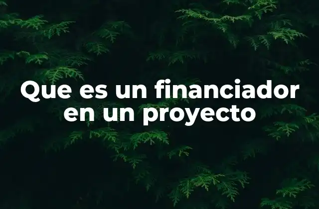 Que es un Financiador en un Proyecto