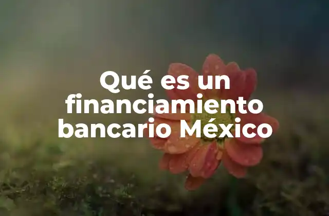 Qué es un Financiamiento Bancario México
