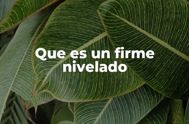 Que es un Firme Nivelado