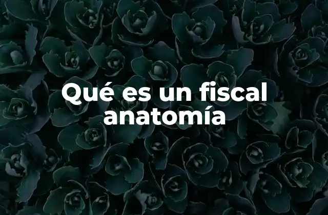 Qué es un Fiscal Anatomía