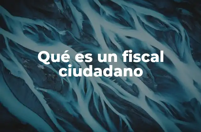Qué es un Fiscal Ciudadano