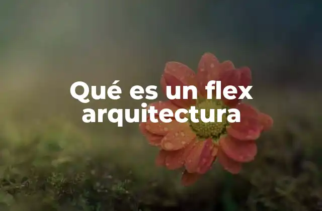 Qué es un Flex Arquitectura