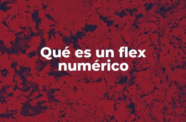 Qué es un Flex Numérico