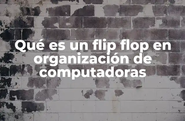 Qué es un Flip Flop en Organización de Computadoras
