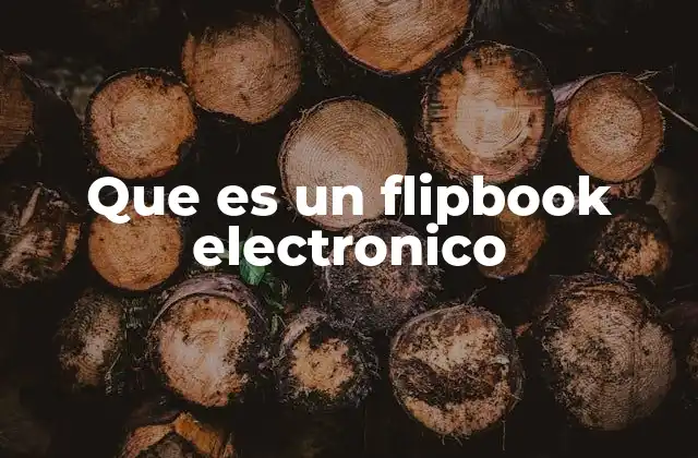 Que es un Flipbook Electronico