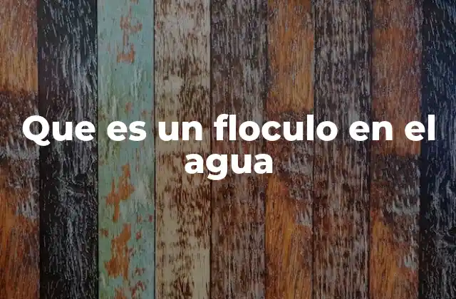 Que es un Floculo en el Agua