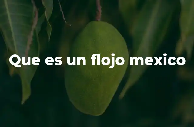 Que es un Flojo Mexico