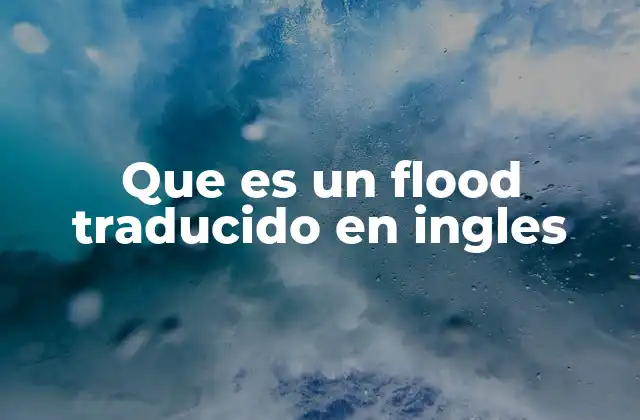Que es un Flood Traducido en Ingles