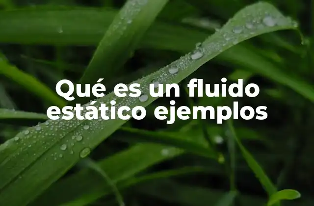 Qué es un Fluido Estático Ejemplos 2 Características de los fluidos en estado estático