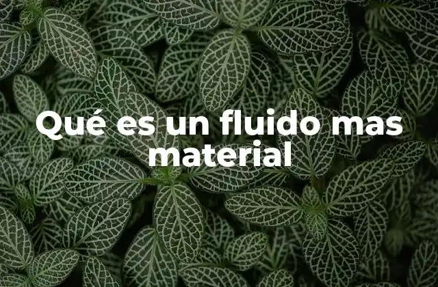 Características de los fluidos y su distinción con otros materiales