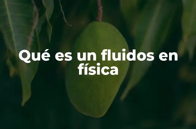 Qué es un Fluidos en Física