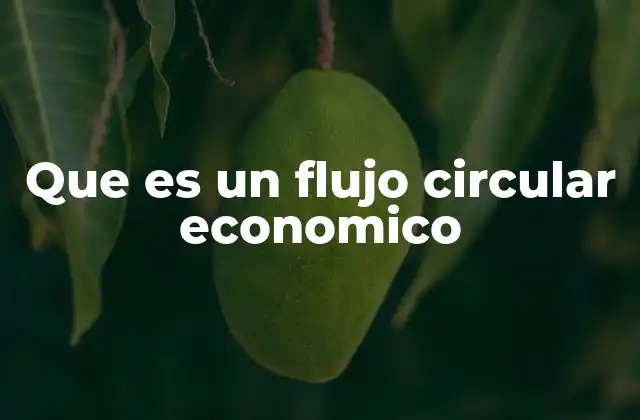 Que es un Flujo Circular Economico
