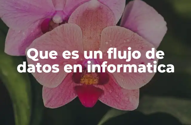 Que es un Flujo de Datos en Informatica