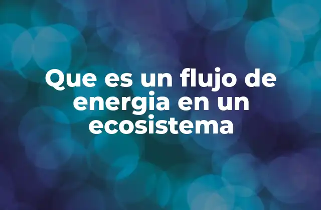 Que es un Flujo de Energia en un Ecosistema