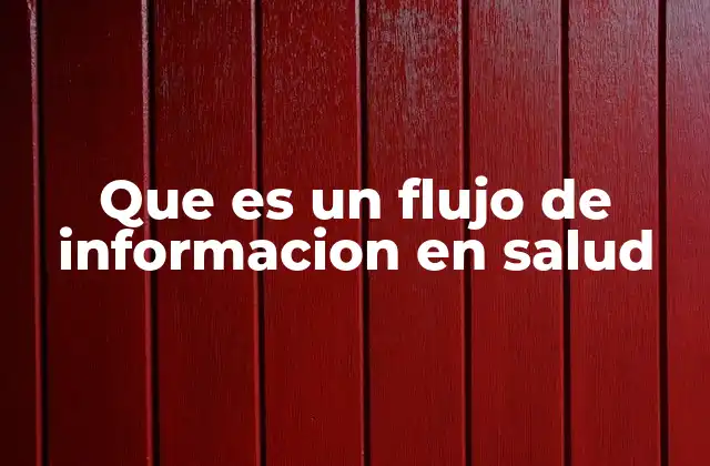 Que es un Flujo de Informacion en Salud