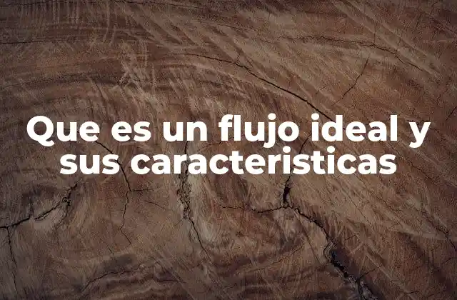 La importancia del flujo ideal en la gestión eficiente