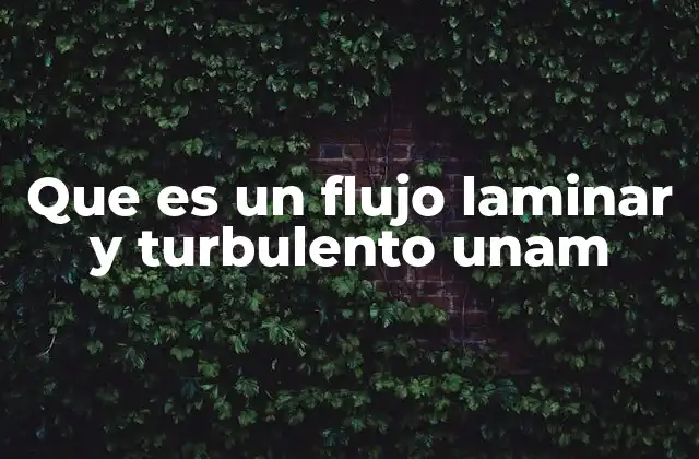 Que es un Flujo Laminar y Turbulento Unam