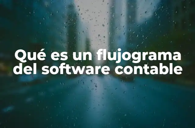 Qué es un Flujograma Del Software Contable