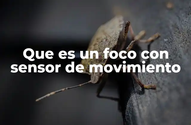 Que es un Foco con Sensor de Movimiento