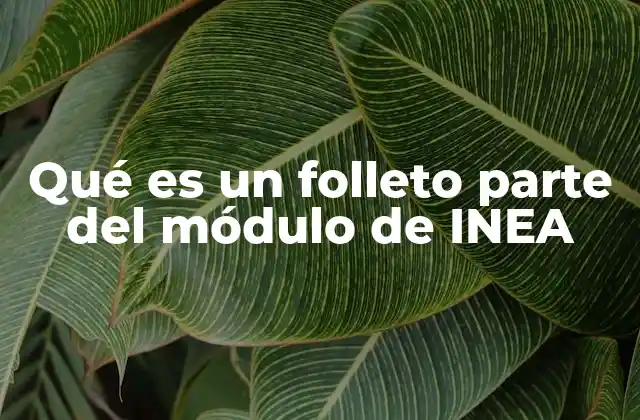 Qué es un Folleto Parte Del Módulo de Inea