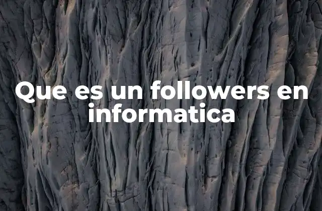 Que es un Followers en Informatica