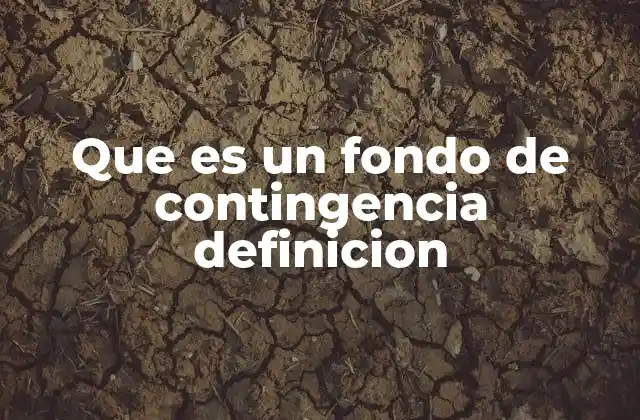 Que es un Fondo de Contingencia Definicion