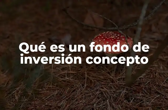 Qué es un Fondo de Inversión Concepto 2 Cómo funciona un fondo de inversión