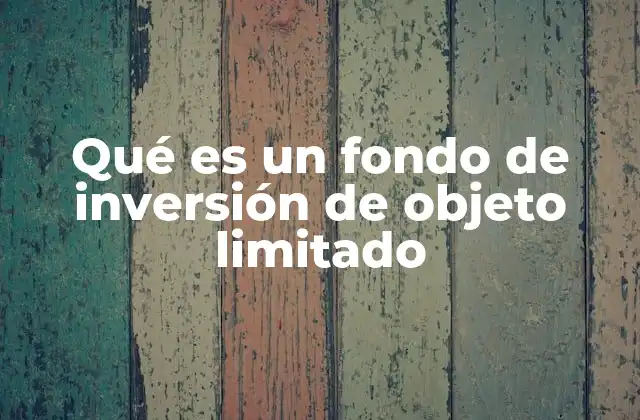 Qué es un Fondo de Inversión de Objeto Limitado