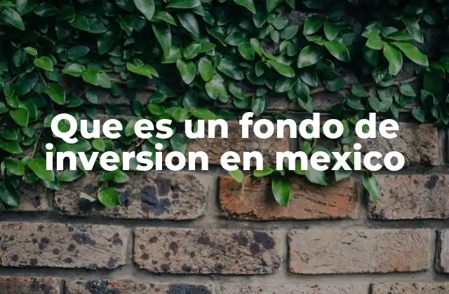 Que es un Fondo de Inversion en Mexico