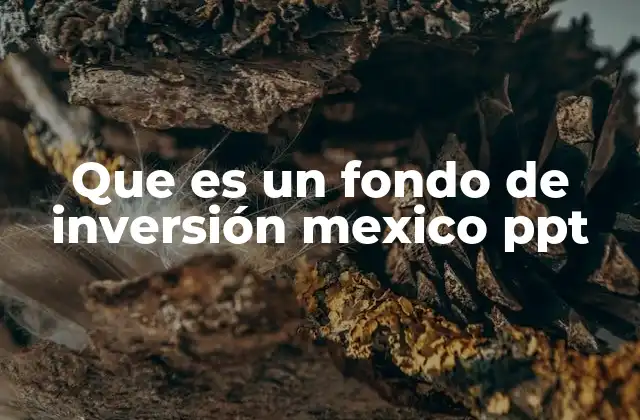 Cómo los fondos de inversión operan en el mercado financiero mexicano