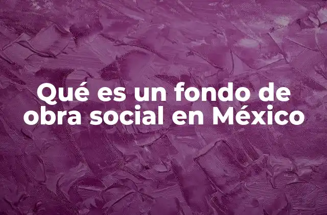 Qué es un Fondo de Obra Social en México