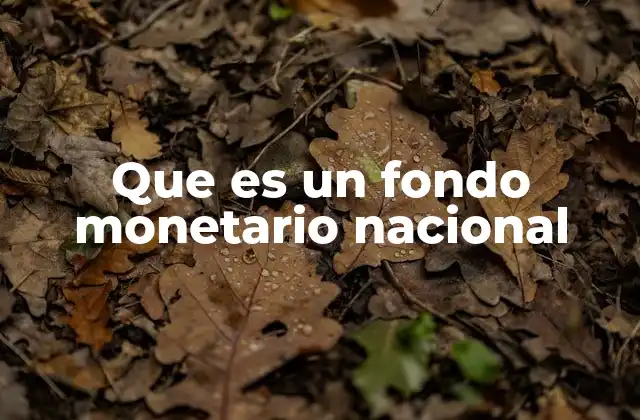 Que es un Fondo Monetario Nacional