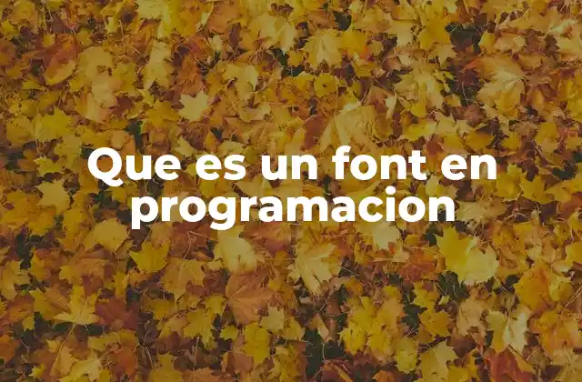 Que es un Font en Programacion