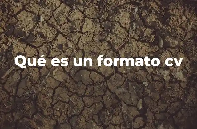 Cómo elegir el formato adecuado para tu currículum