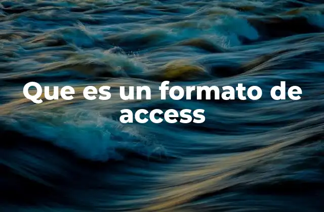 Que es un Formato de Access