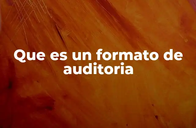 Que es un Formato de Auditoria