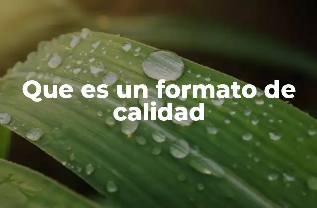 La importancia de los formatos en la gestión de procesos