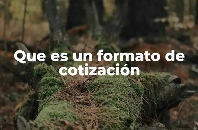 Que es un Formato de Cotización