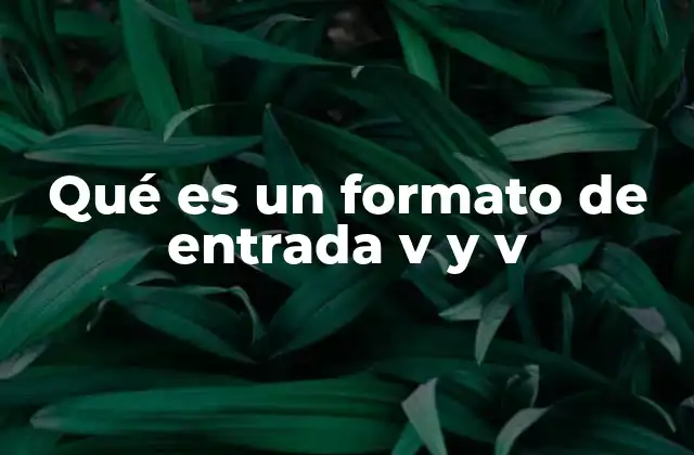 Qué es un Formato de Entrada V y V