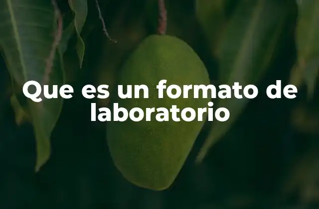 La importancia de estructurar los resultados experimentales