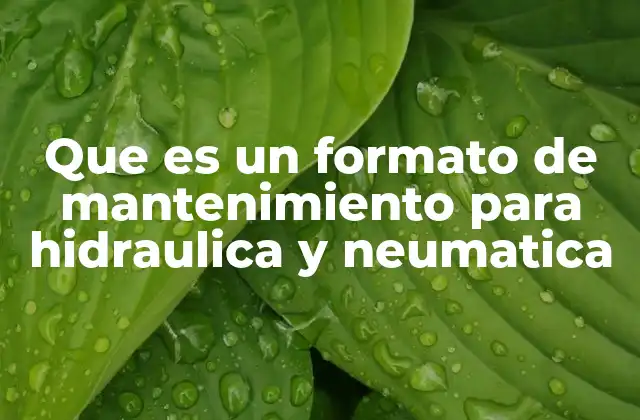 Que es un Formato de Mantenimiento para Hidraulica y Neumatica