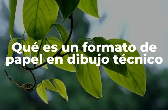 Qué es un Formato de Papel en Dibujo Técnico