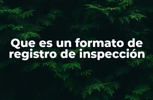 Que es un Formato de Registro de Inspección