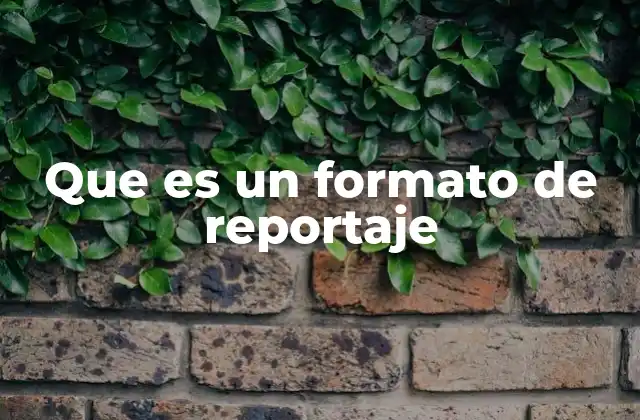 Que es un Formato de Reportaje