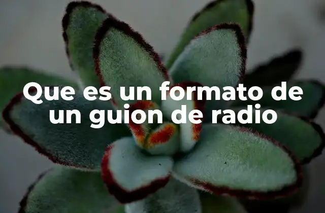 Que es un Formato de un Guion de Radio
