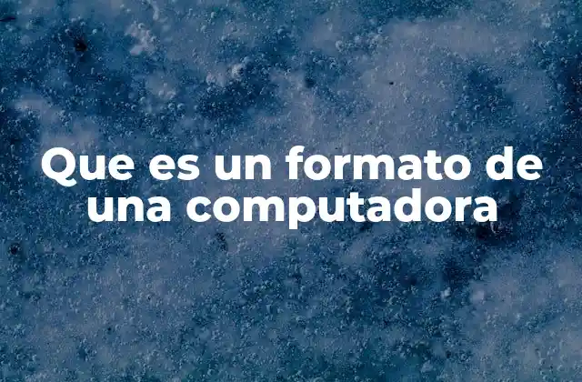 Que es un Formato de una Computadora