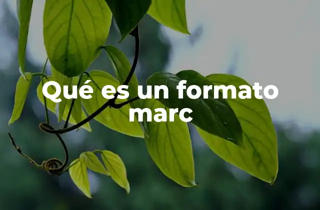 Qué es un Formato Marc